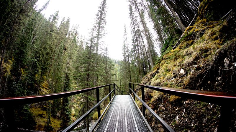 andrew-sharples-341808-unsplash