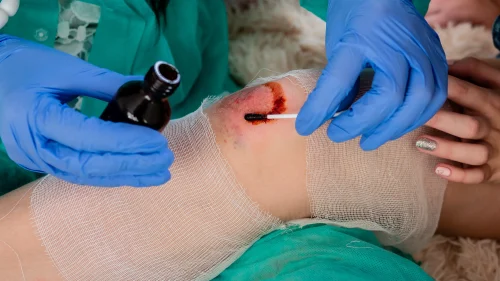 AdobeStock_391297172